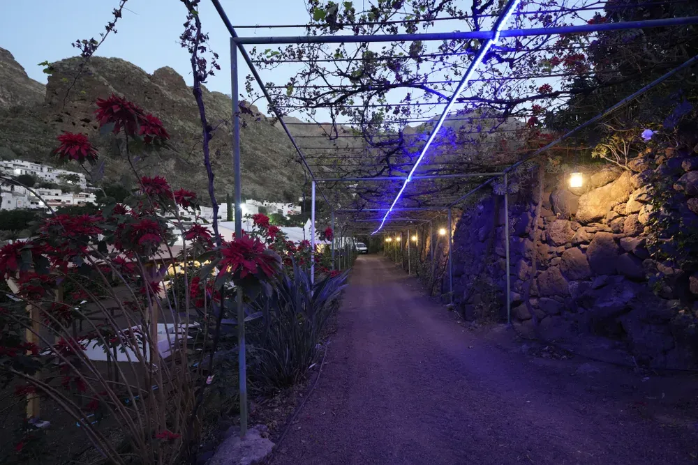 Finca Los Castaños – 01