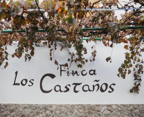 Finca Los Castaños 1