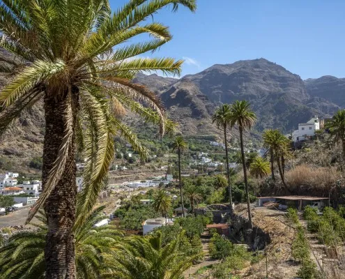 Finca Los Castaños 2