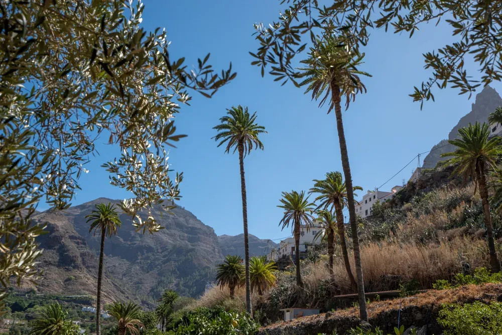 Finca Los Castaños – 03