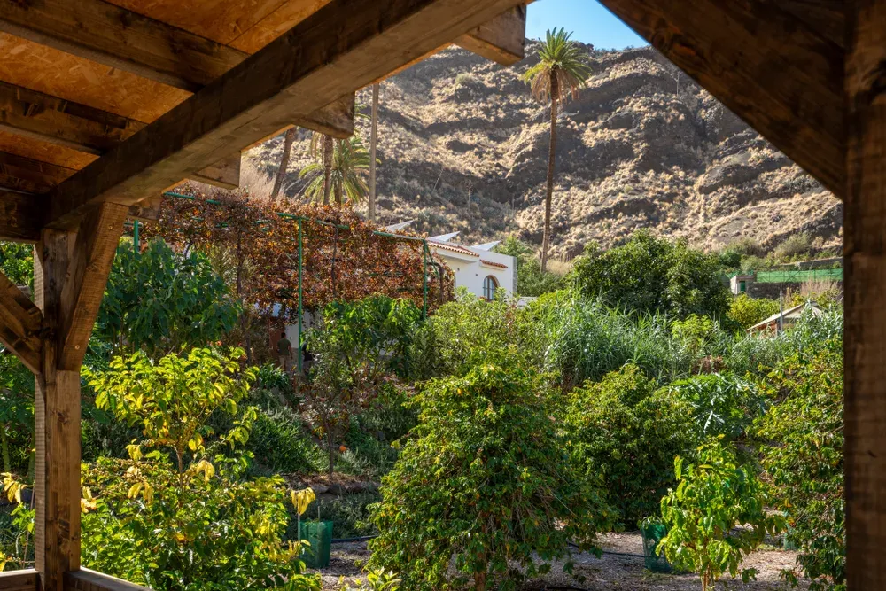 Finca Los Castaños – 04