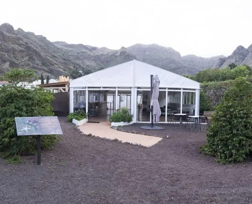 Finca Los Castaños 6