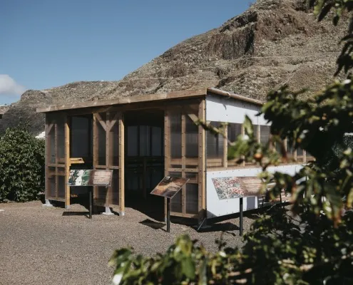 Finca Los Castaños 7