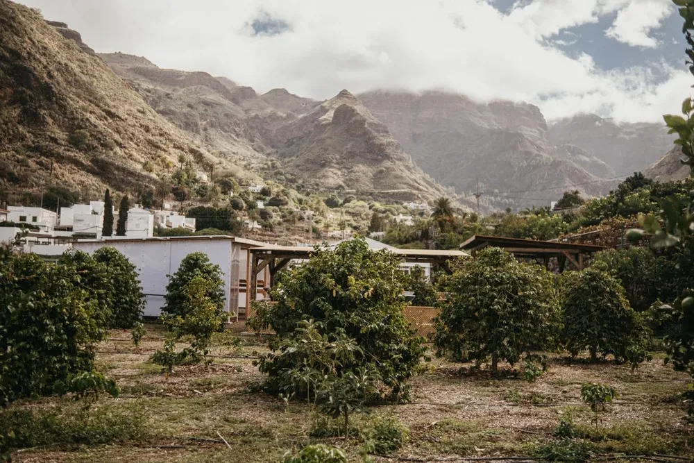 Finca Los Castaños – 07