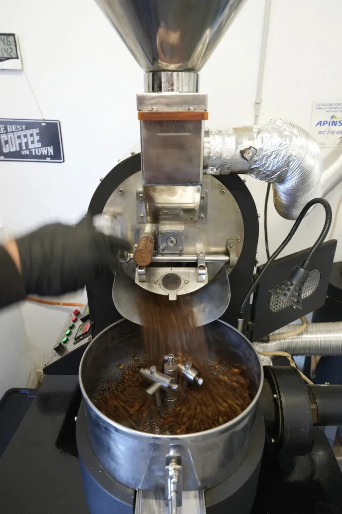 Finca Los Castaños – 07