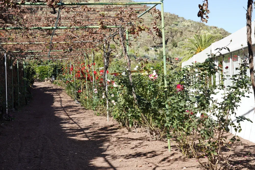 Finca Los Castaños – 09