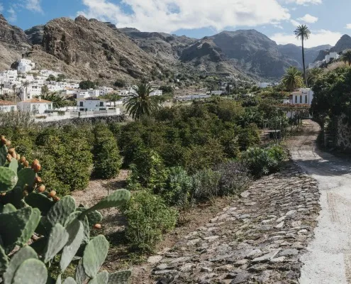 Finca Los Castaños 10