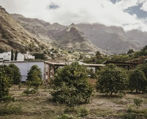 Finca Los Castaños 11