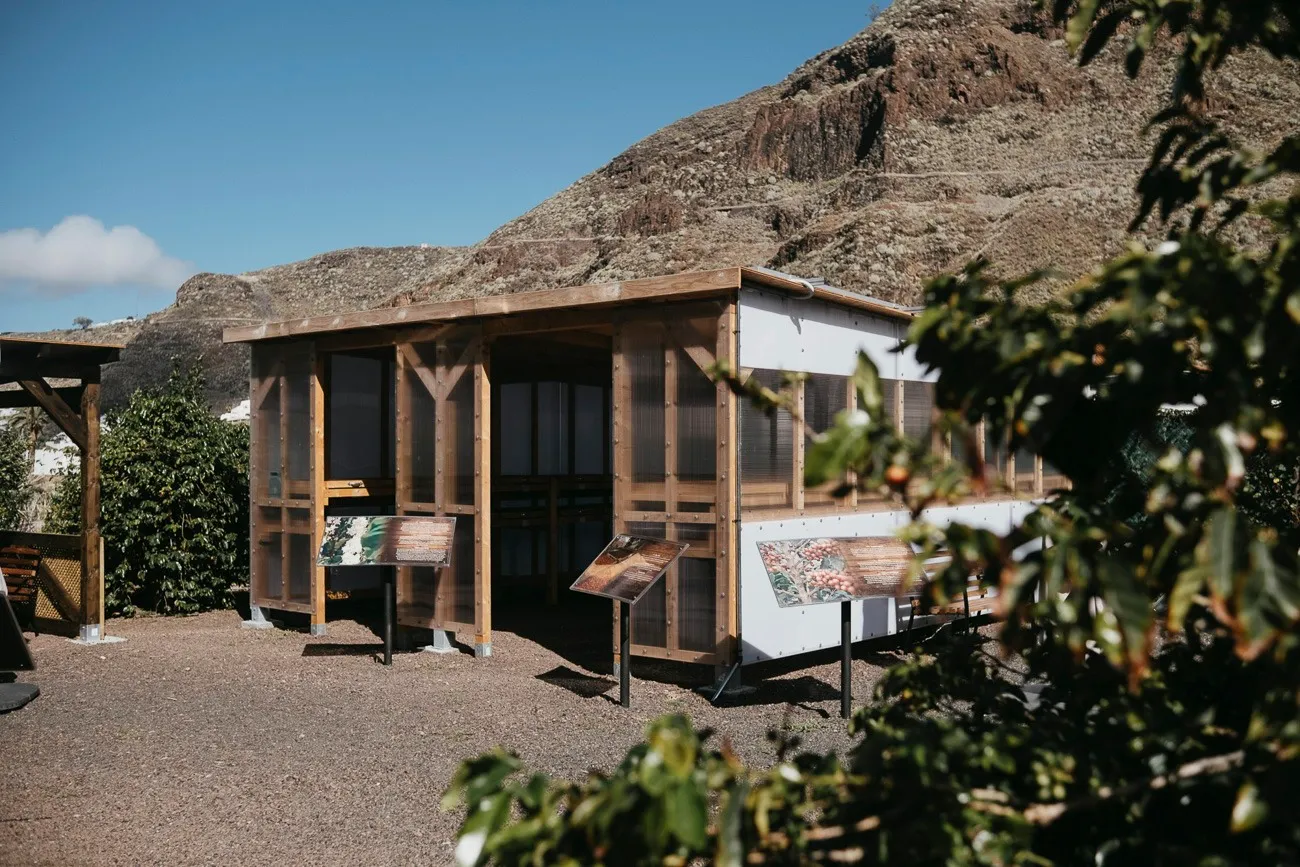 Finca Los Castaños – 11