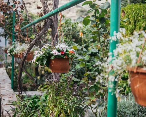 Finca Los Castaños 12