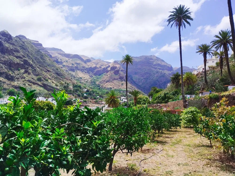 Finca Los Castaños – 16