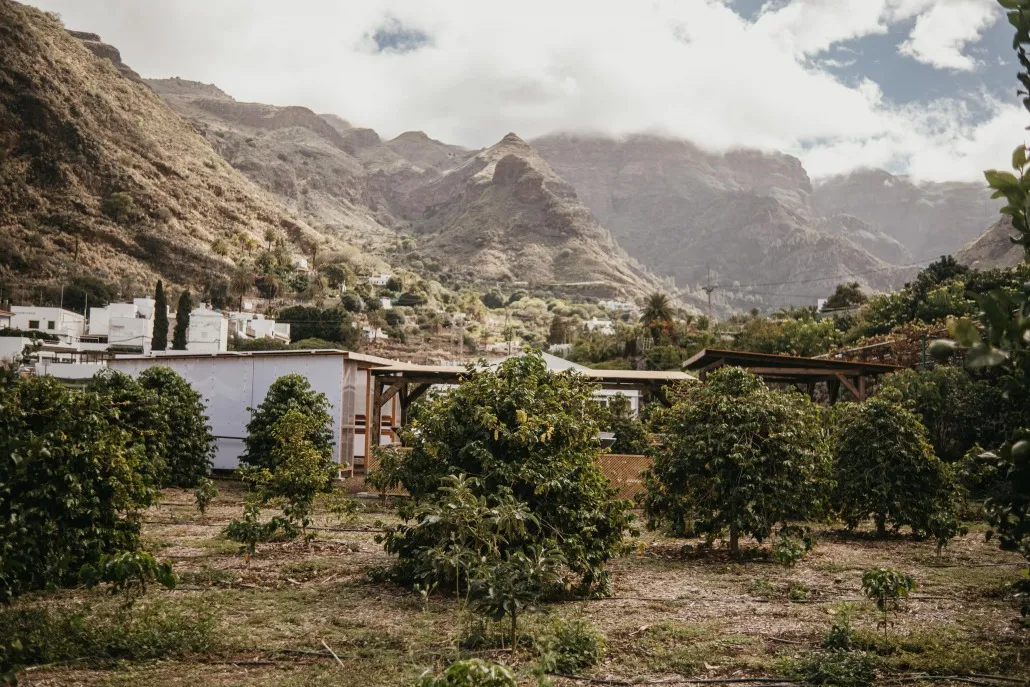 Finca Los Castaños – 16