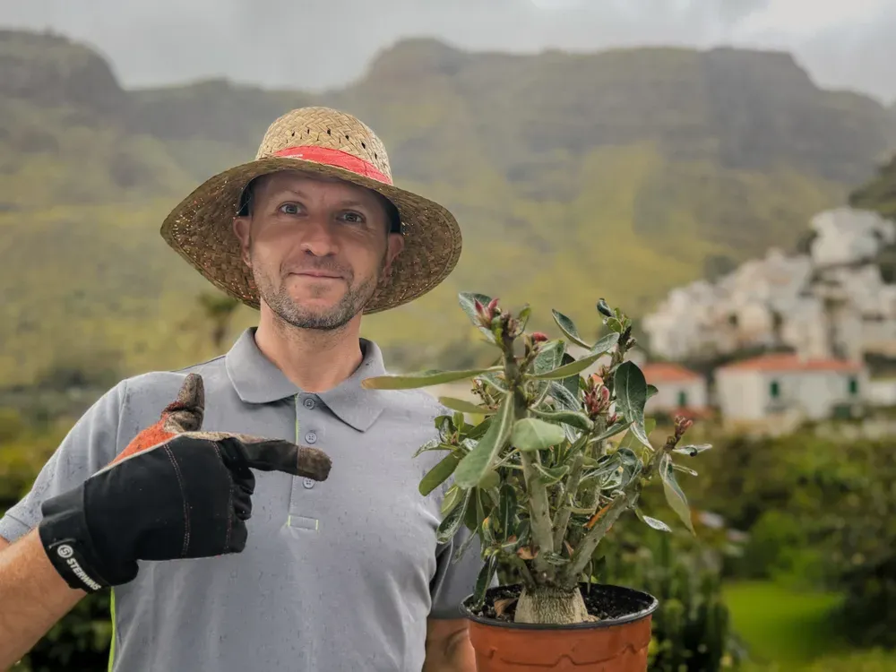 Finca Los Castaños – 21