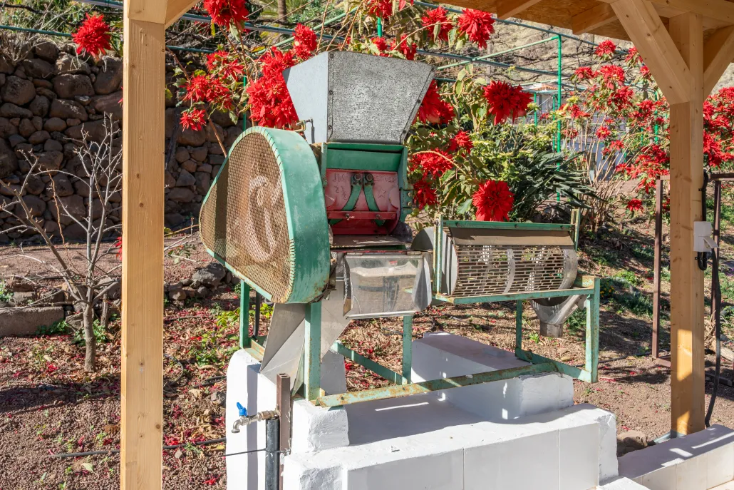 Finca Los Castaños – 23