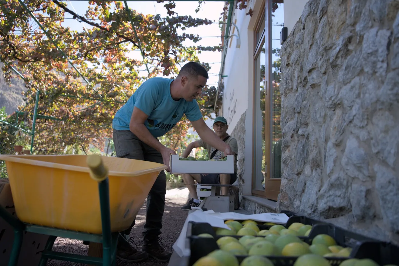 Finca Los Castaños – 25