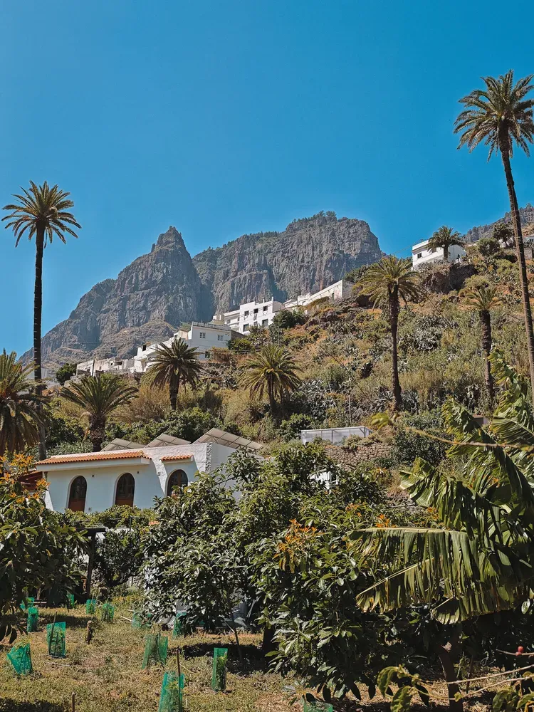 Finca Los Castaños – 26