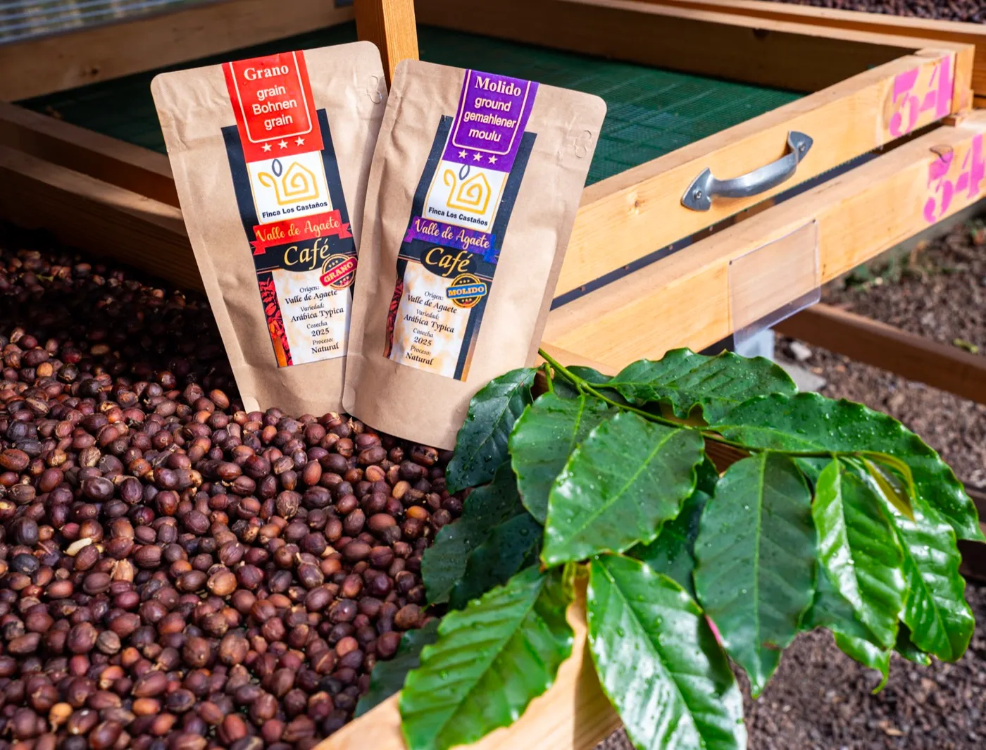 Finca Los Castaños – 33