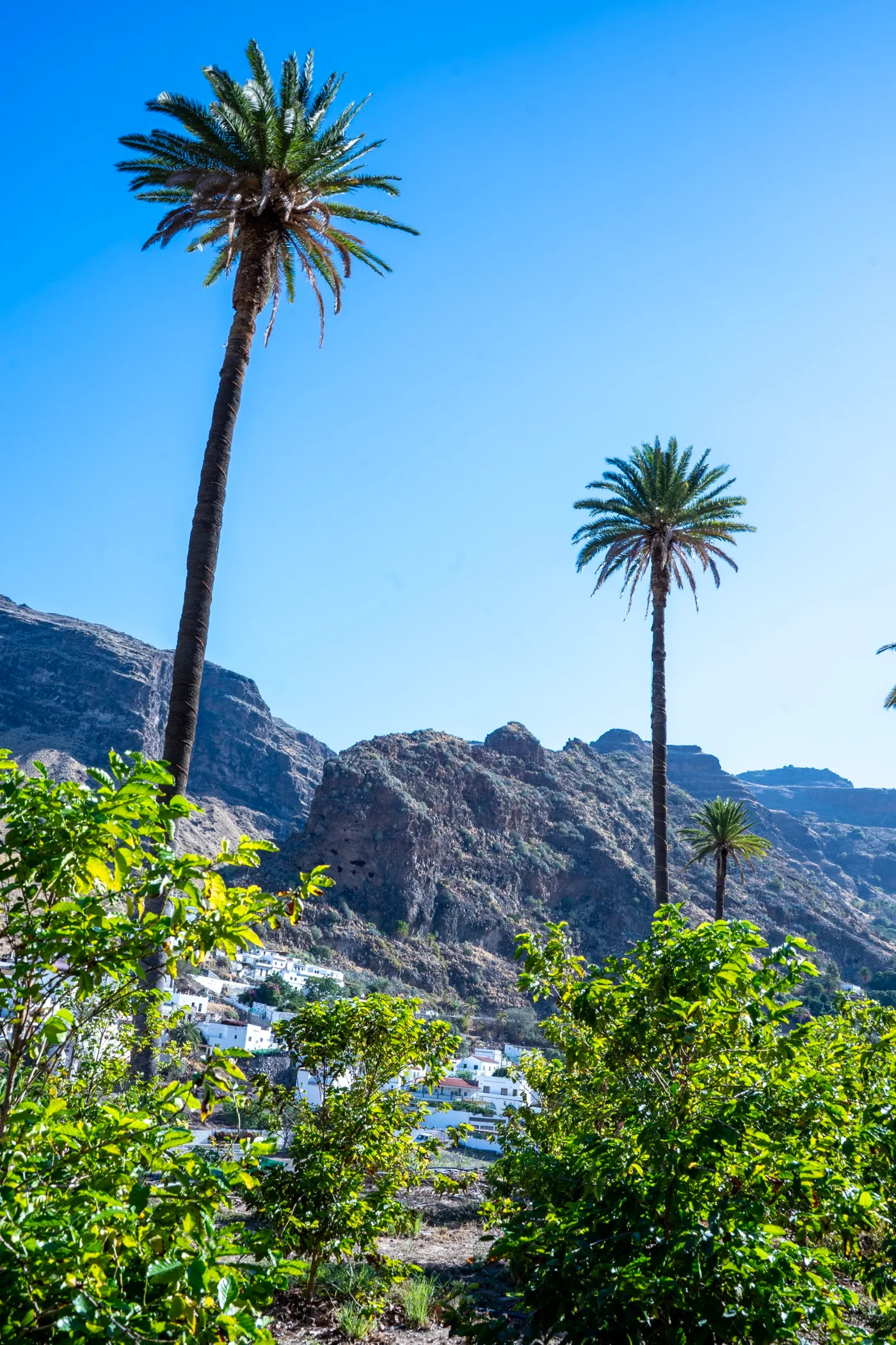 Finca Los Castaños – 34