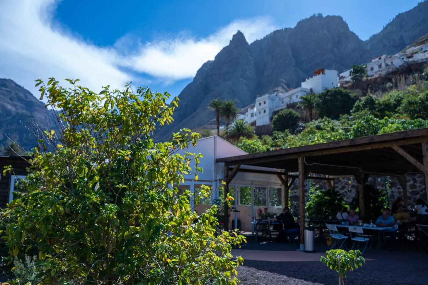 Finca Los Castaños – 35