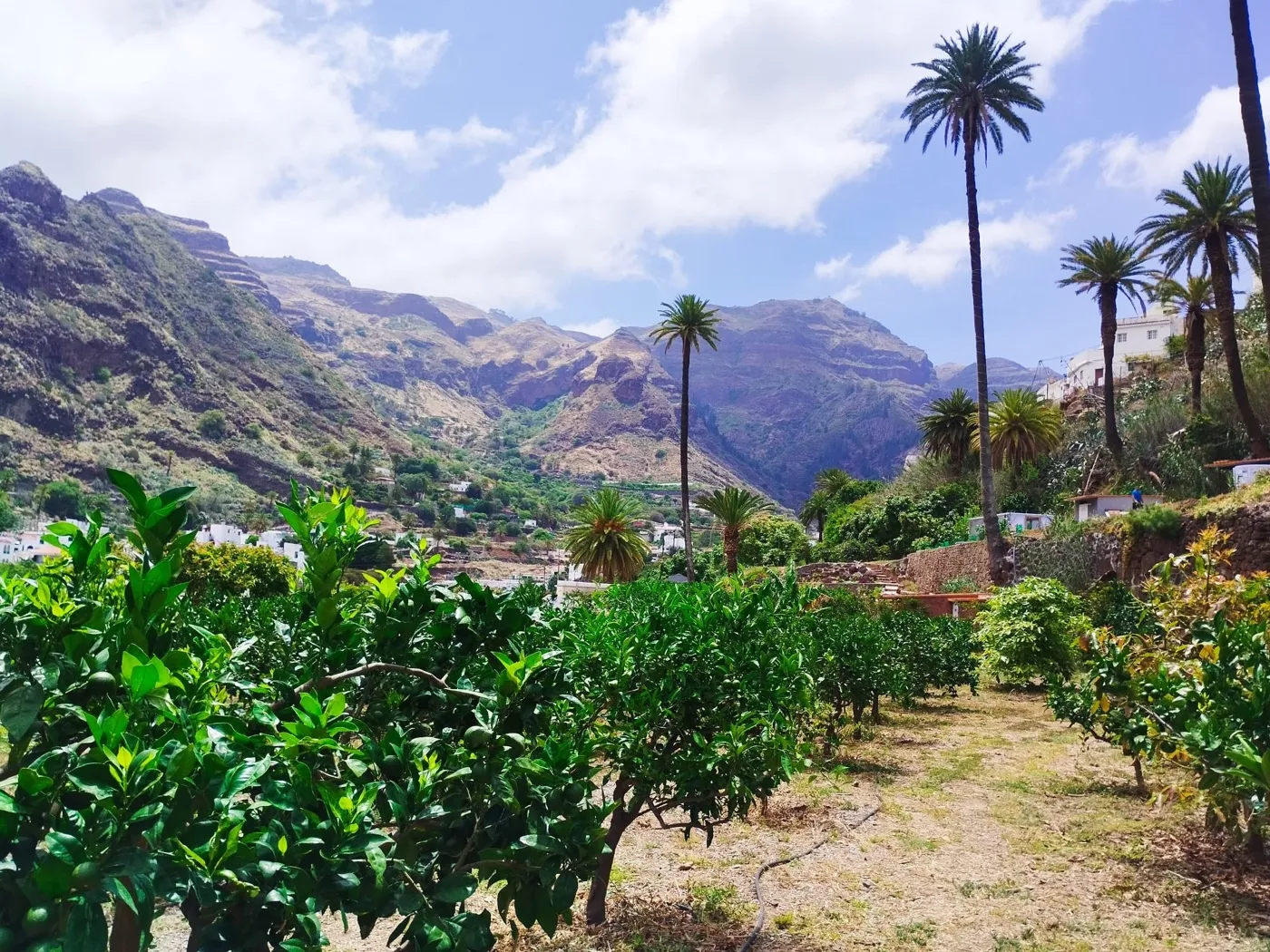 Finca Los Castaños – 36