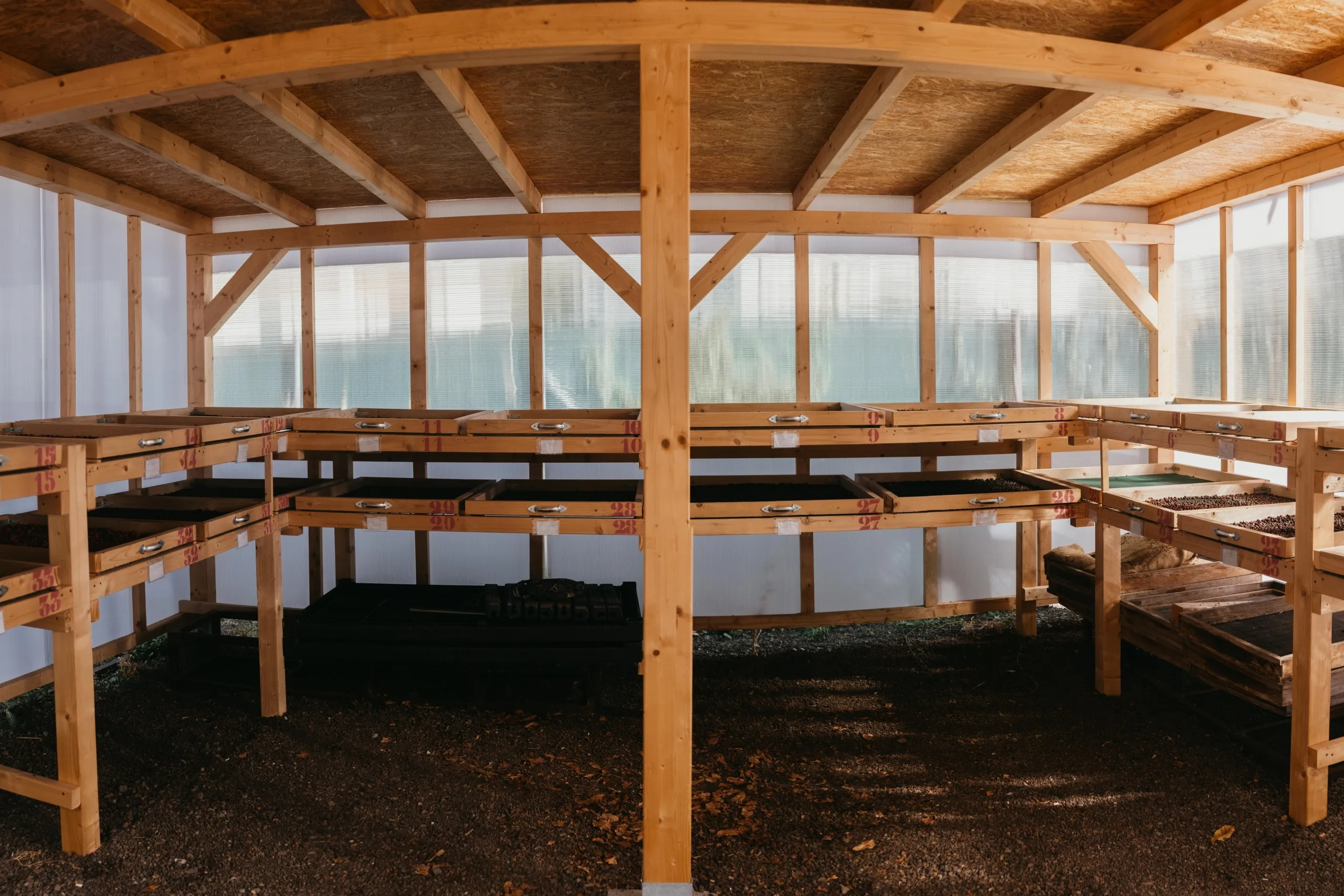 Finca Los Castaños Plantage