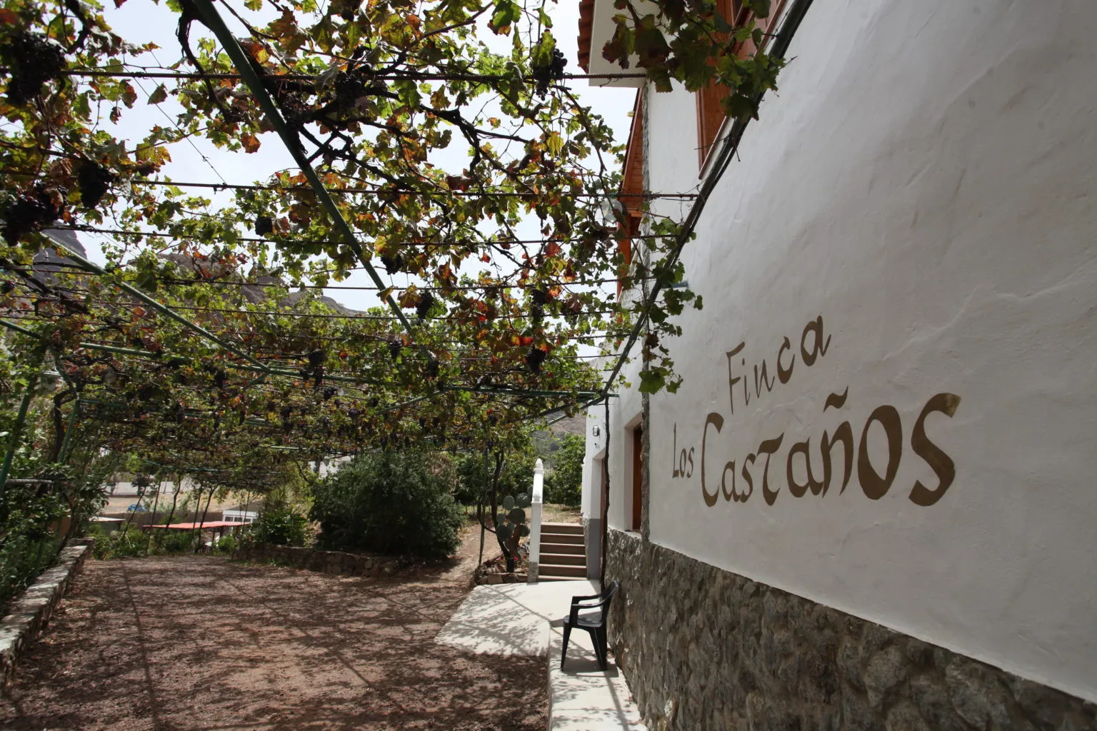 La Vida Canaria