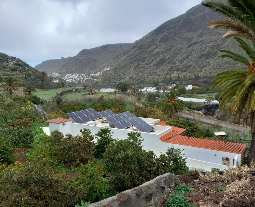 Rooted in sustainability