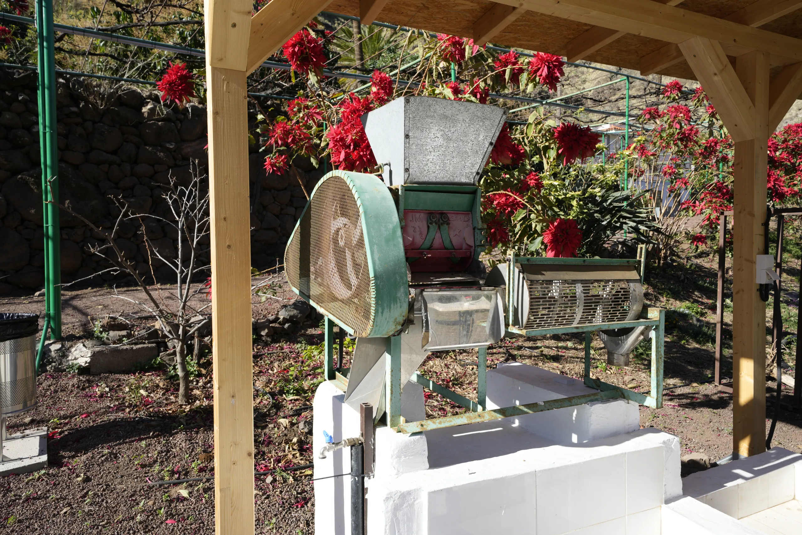 Plantage im Valle de Agaete