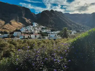 Finca Los Castaños – 27