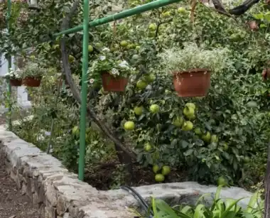 Finca Los Castaños – home 8