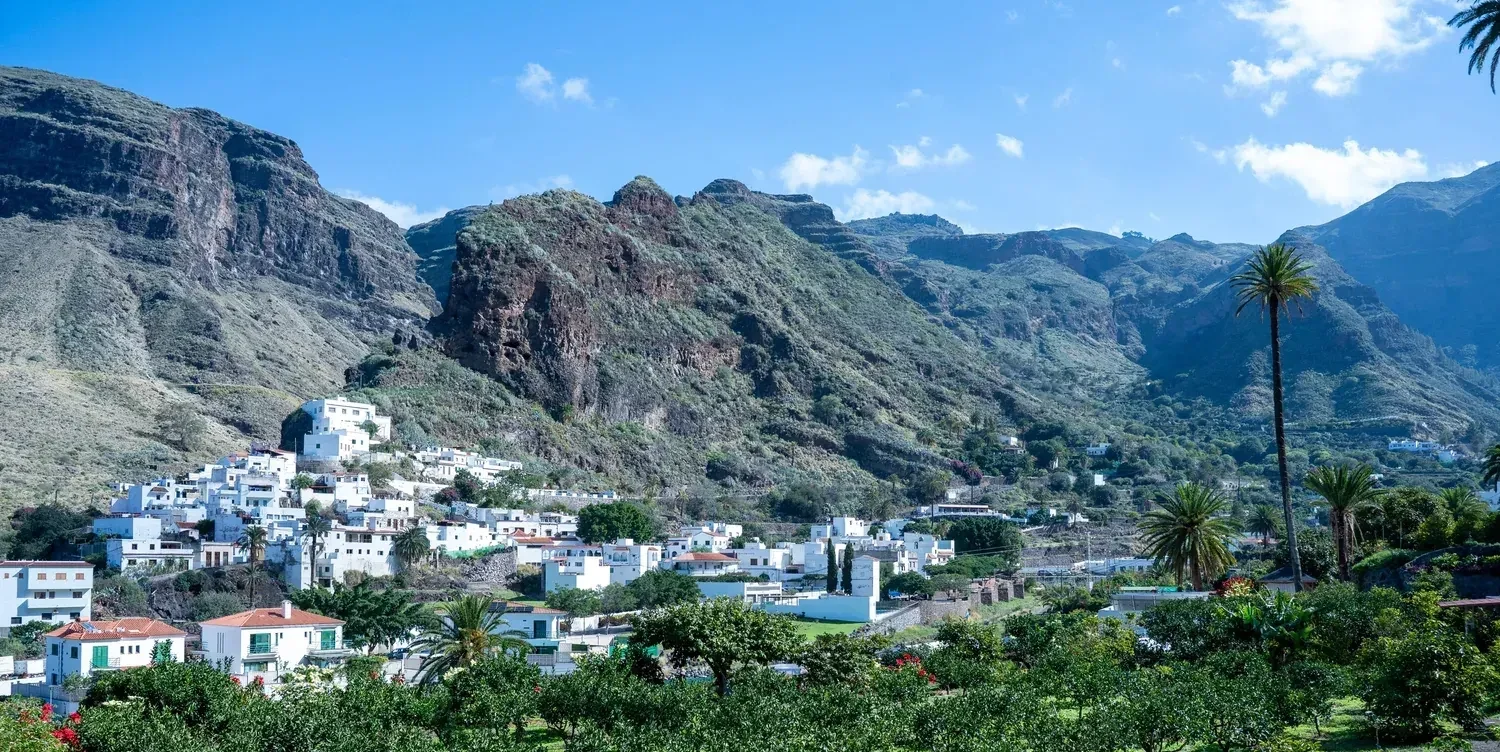 Blick über die Plantage der Finca Los Castaños auf Agaete